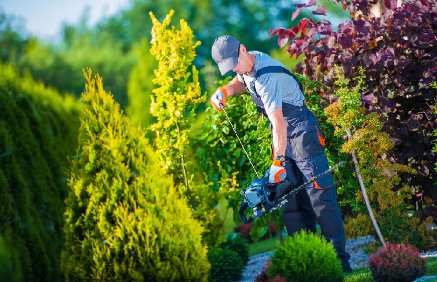 ADVANTAGES OF USING A PROFESSIONAL LANDSCAPING COMPANY