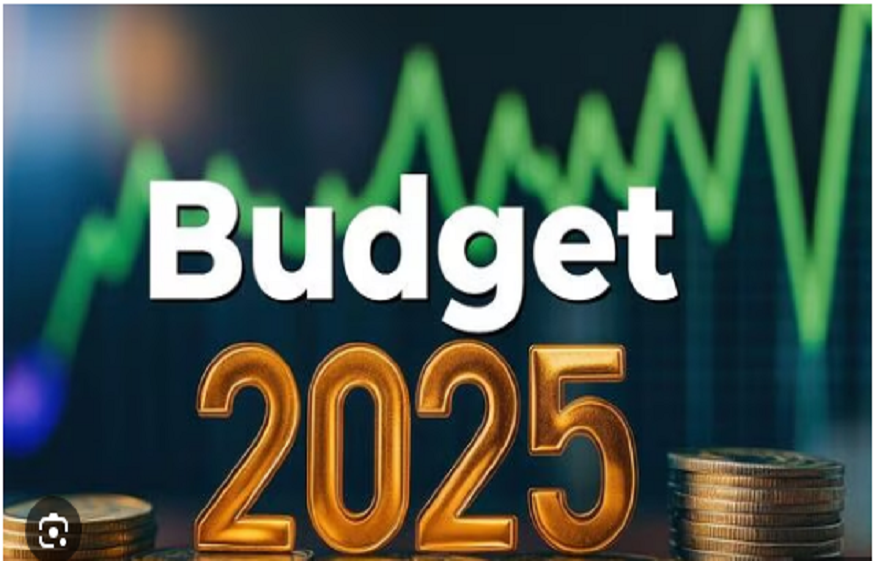 Important Aspects of Union Budget 2025 – Educational & Economical